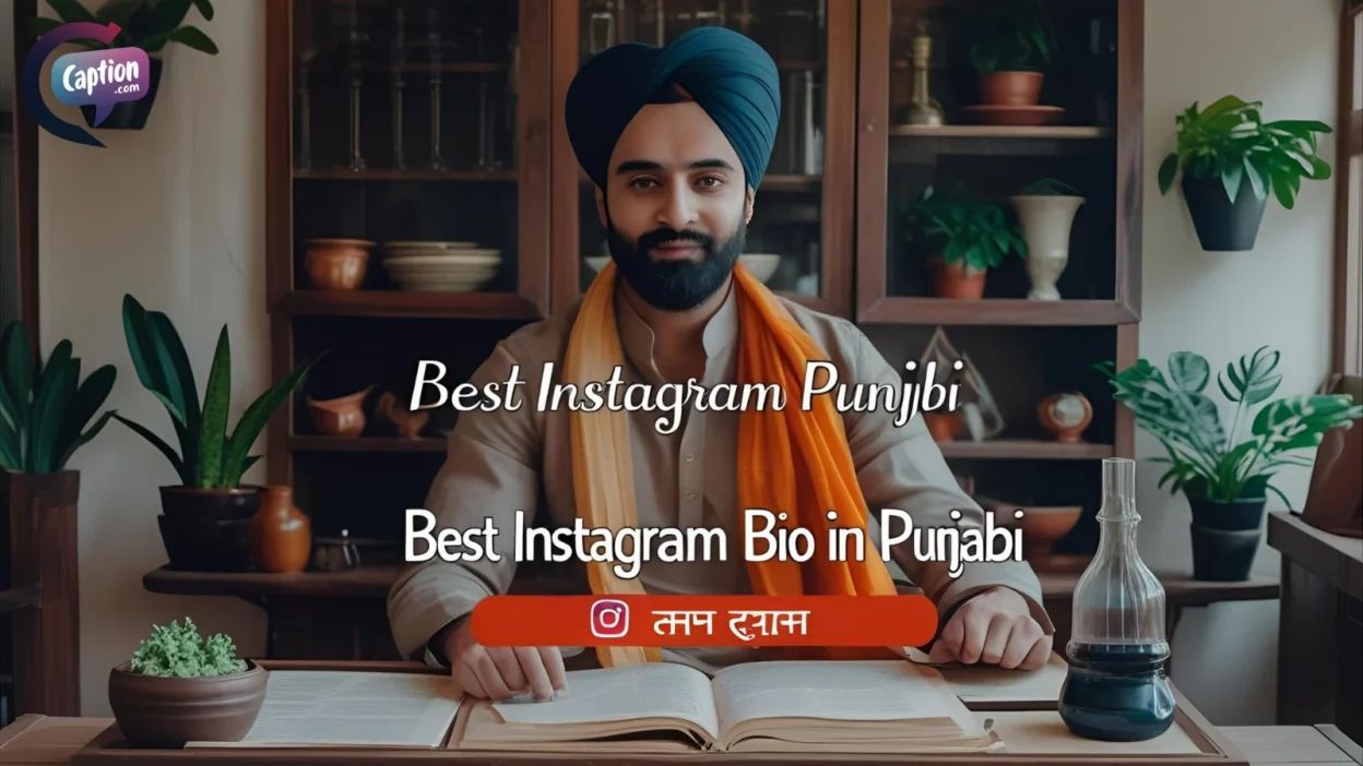 Best Instagram Bio In Punjabi