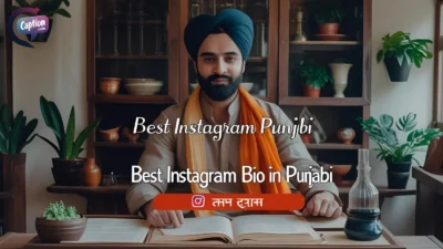 Best Instagram Bio In Punjabi