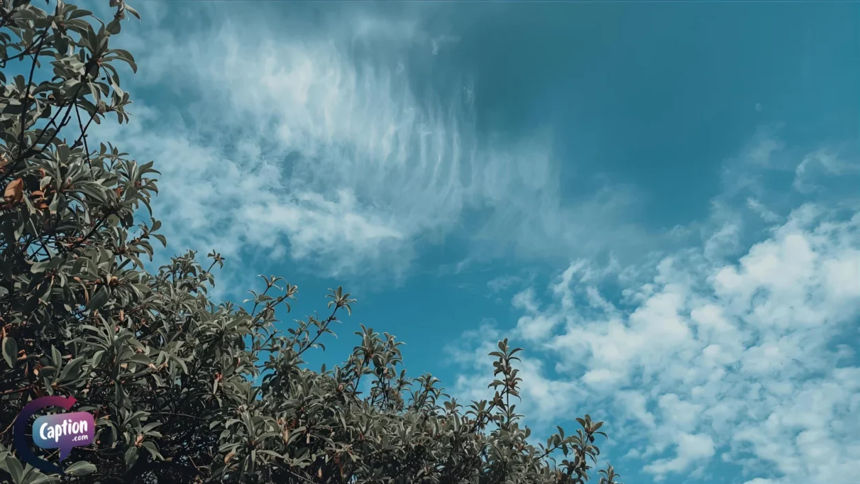 Blue Sky Captions for Instagram